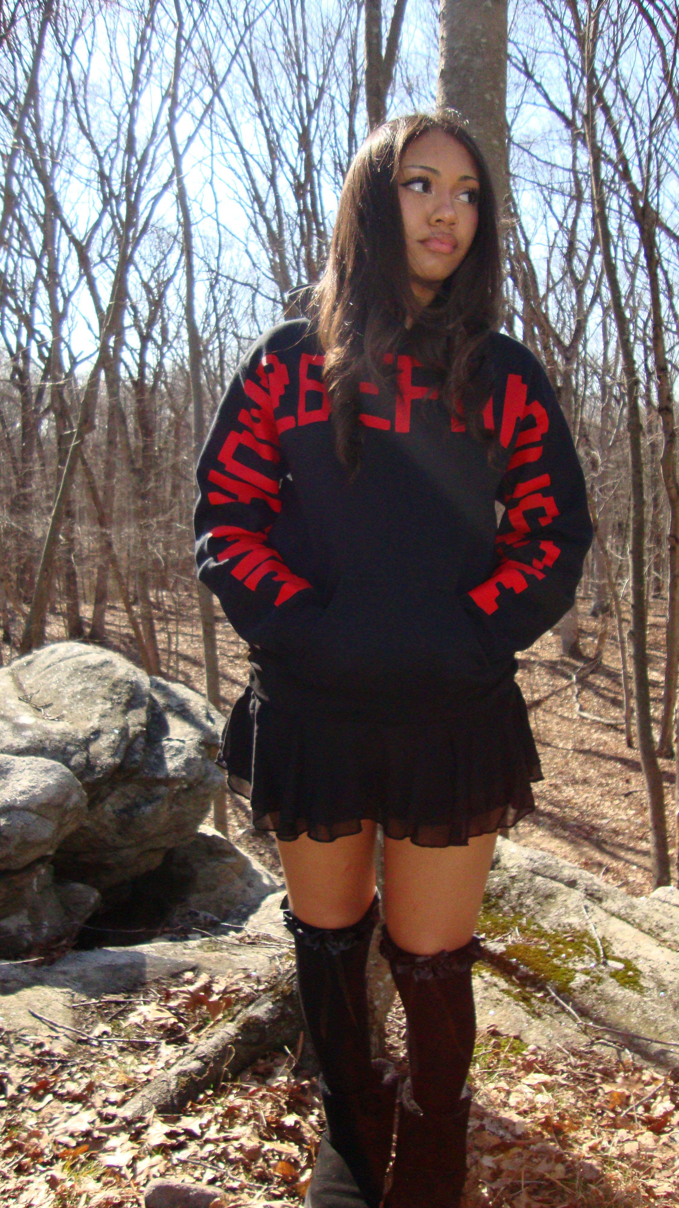 How2befamous.com Hoodie