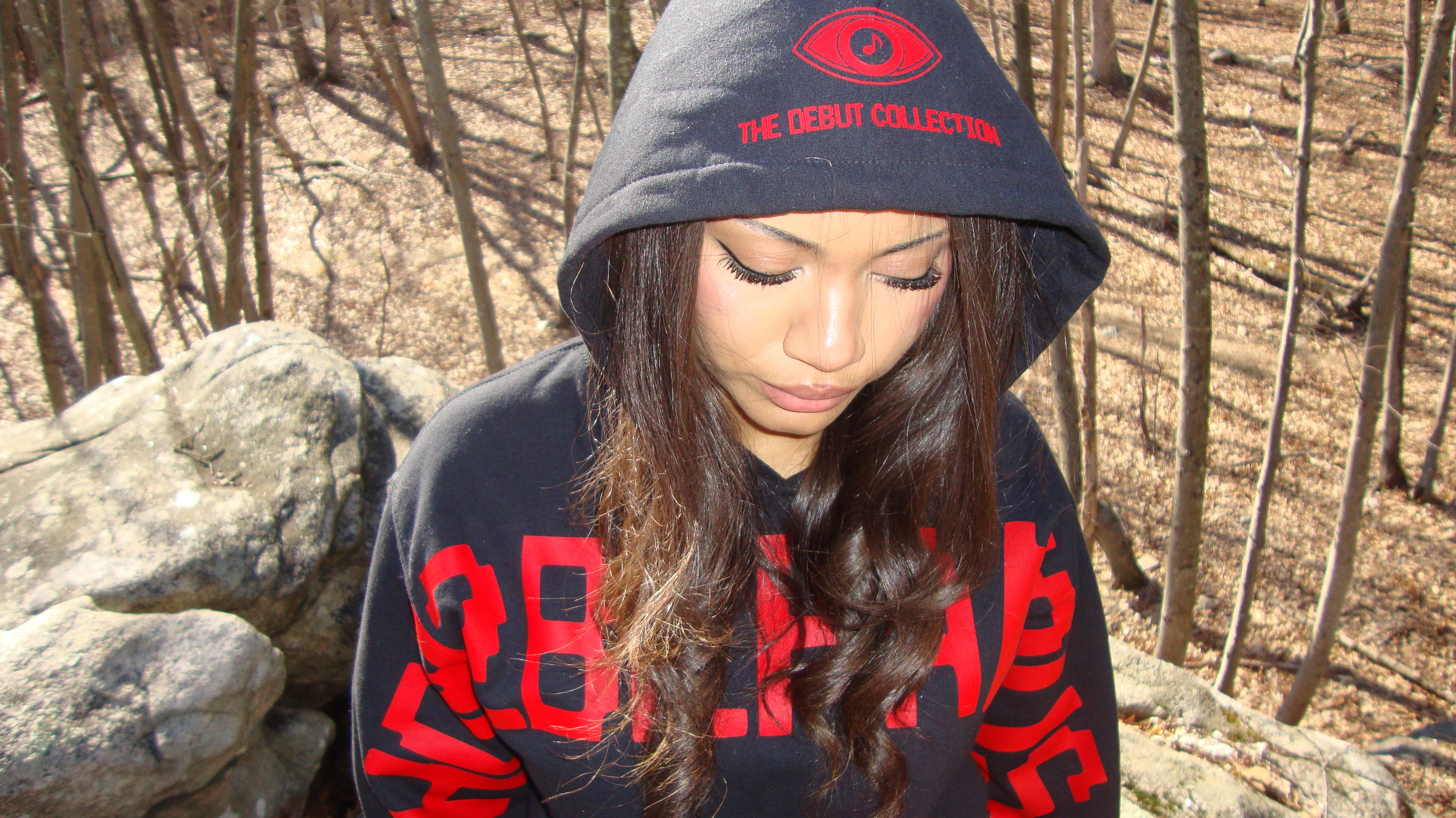 How2befamous.com Hoodie