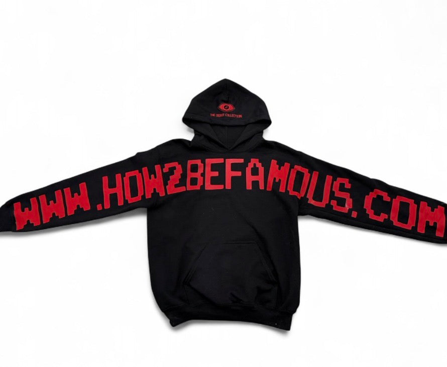 How2befamous.com Hoodie